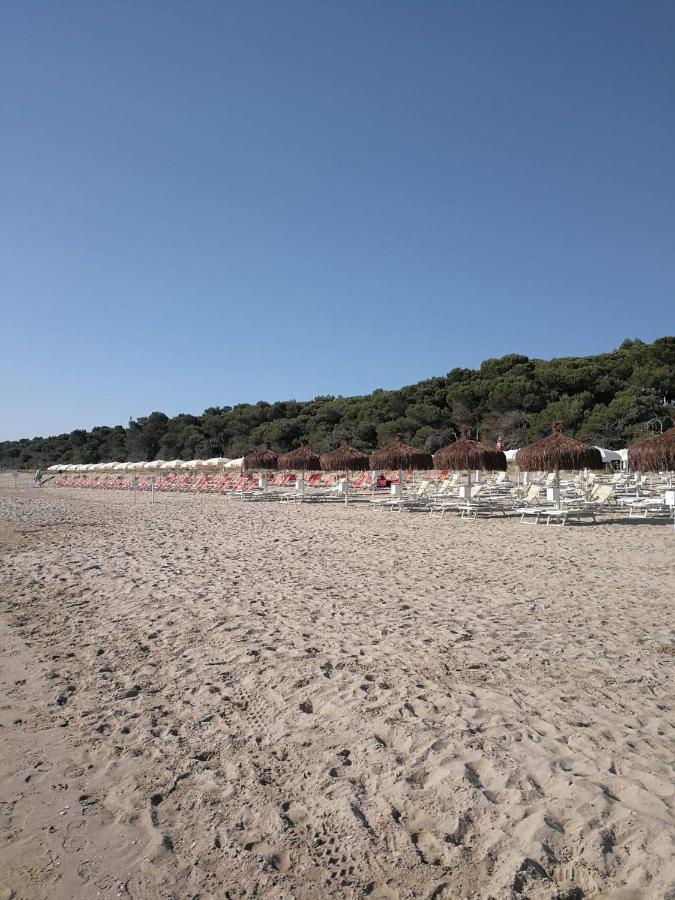 Alloggio Vista Mare - Parcheggio Gratis Pineto Zewnętrze zdjęcie