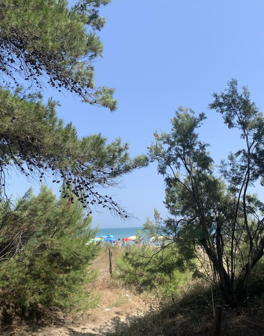 Alloggio Vista Mare - Parcheggio Gratis Pineto Zewnętrze zdjęcie