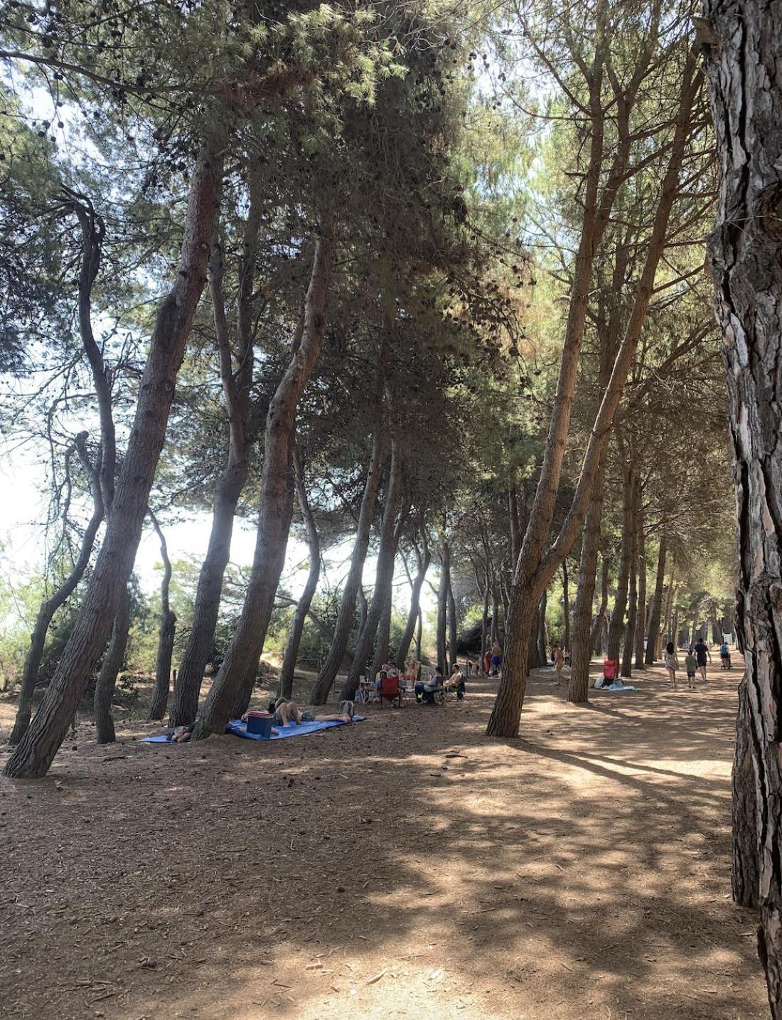 Alloggio Vista Mare - Parcheggio Gratis Pineto Zewnętrze zdjęcie